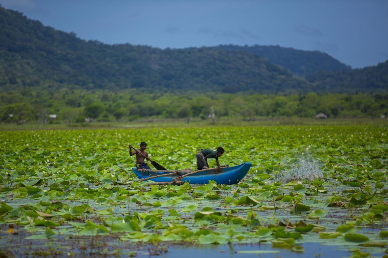 Grand Tamarind Lake Kataragama Buitenkant foto