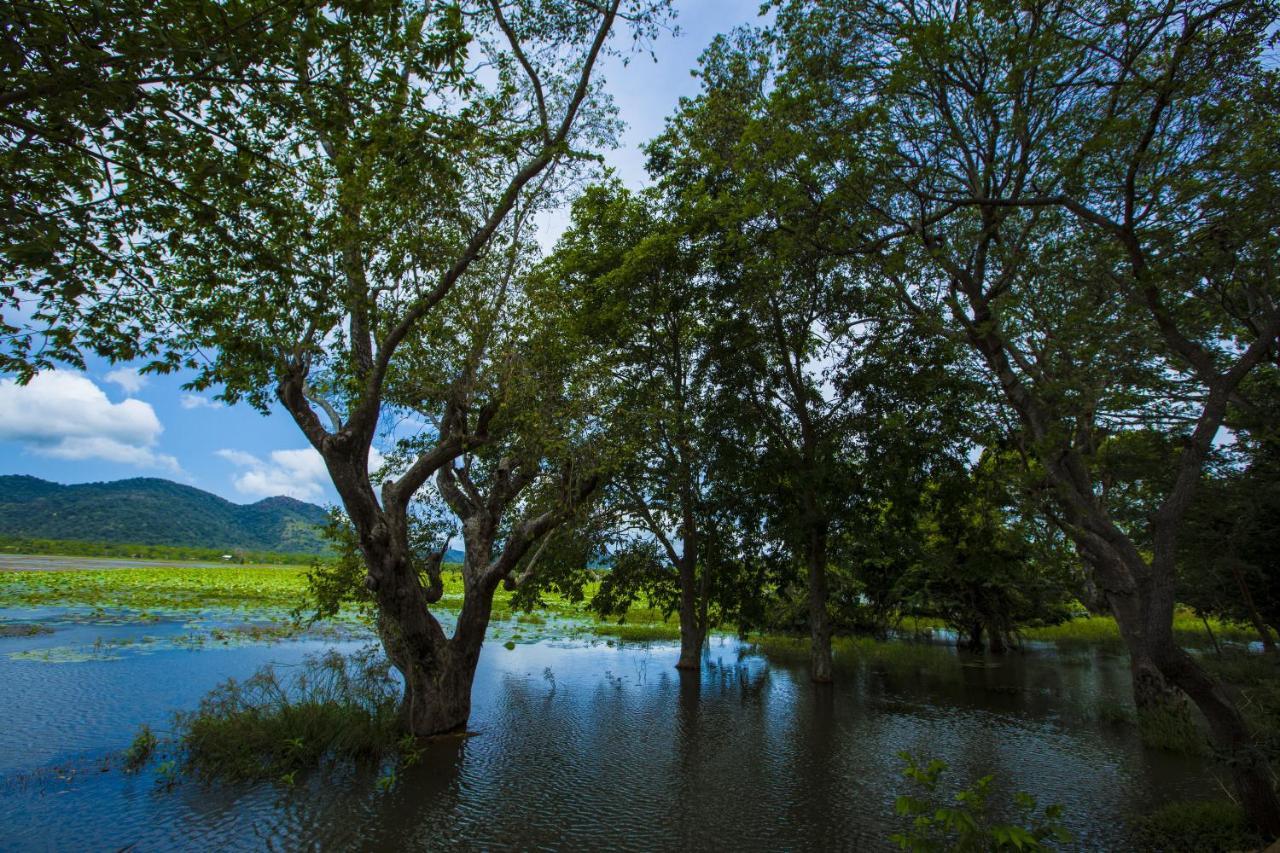 Grand Tamarind Lake Kataragama Buitenkant foto